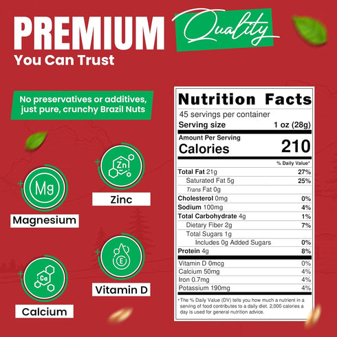 1 (16oz) Raw Brazil Nuts - Pound, - Natural, Unsalted, Shelled, No Preservatives, Kosher Certified - Natural, Fresh