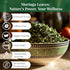 Leaves-2.6oz, Moringa Dried From Fresh Green Moringa Oleifera Leaves, Hojas De MoringaSecas, Loose Leaf Tea, Drumstick