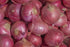 RawJoy Fresh Produce Organic Red Onions by Farms