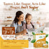 80 Count Packets (40 Count, 2 Pack) 1:1 Health Garden Monk Fruit Sweetener, Classic Sugar Substitute Monk Fruit Sugar
