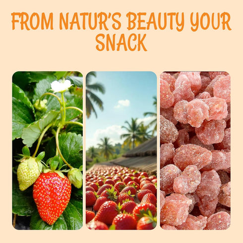 1 LB Packed Oh! Nuts Dried Strawberries - - Sweetened Dried Fruit - Dehydrated Fruit Bites - in New York Zip-Seal Bag