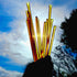 (50 Pack) Raw Honey Sticks - Honey Sticks For Tea - Honey Straws - One Teaspoon of Pure Raw Honey Per Stick - Each