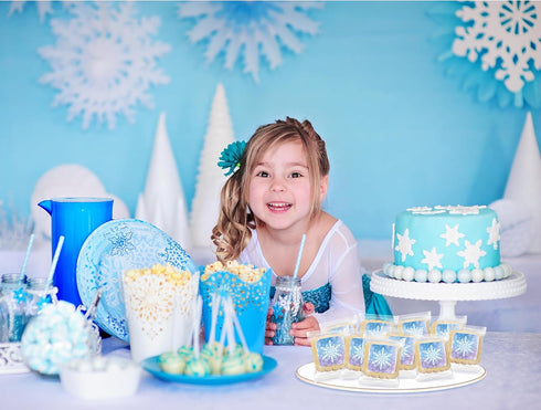 Frozen 24 Pack Snowflake Cookies in Individually Wrapped Snowfake Winter themed Theme Party Favors Bulk for Kids
