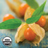 (8 Wilderness Poets, Organic Incan Berries (Golden Berries, Gooseberries) - Raw, Dried Fruit Ounce)