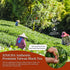 100g /3.5oz80 XIXICHA Taiwan Black Tea Loose Leaf, Full-Bodied & Smooth, Rich in Flavor, Naturally Sweet, Sun Moon Lake