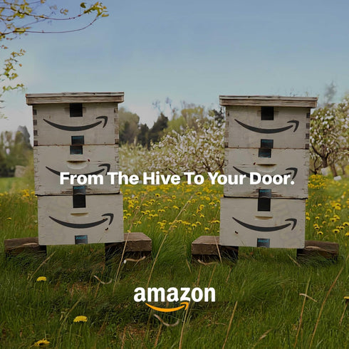 100% (16 Oz) HoneyPlusCo | Natural Raw Unfiltered Honey - Orange Blossom