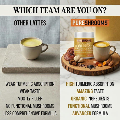 30 (30 125 Organic Turmeric Latte Golden Milk Servings - Organic Lion's Mane, Turkey Tail Mushroom Extracts, Cinnamon