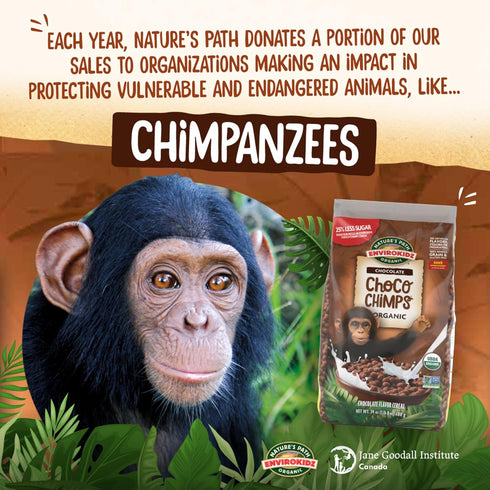 24 oz (Pack 1), EnviroKidz Organic Choco Chimps Cereal, of Chocolate, Gluten Free, Non-GMO, Fair Trade, by Nature's
