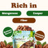 8 Food to Live Dry Roasted Pecan Pieces with Himalayan Salt, Ounces Oven Roasted, Lightly Salted, No Oil Added, Perfect