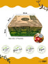 Sensafruit 100% |1 x32 Oz (2 Dried mix fruit of strawberry, banana, pineapple, dragon fruit, mango, apple