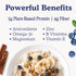 5g 4g 48 (6 Pack) Earnest Eats Superfood Oatmeal Blueberry Chia Cinnamon Vegan, Gluten Free, Plant Protein, Fiber, No
