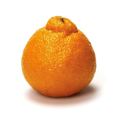 Fresh Produce Sumo Mandarins