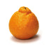 Fresh Produce Sumo Mandarins