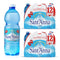 Sant'Anna Frizzante Sparkling Natural Mineral Water, 16.9 Fl Oz (24-Pack) | Pure