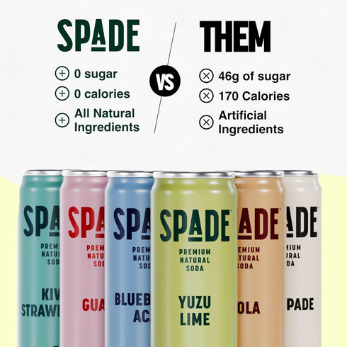 Spade Soda | Deluxe Variety + Guava, Premium All-Natural, No Sugar, No Calories, Electrolytes, Magnesium, Potassium