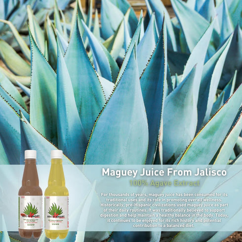 33.3 oz (1 100% (33.3 Oz, Yerbero - Jalisco Maguey Juice Extract Fl Liter) | All Natural, Juice | Jugo de Maguey de