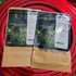 Trelawny Inspirations 4oz (2 2oz Packs) 100% Jamaican Guinea Hen Weed Tea x Handpicked Loose Leaf Herbal Tea Anamu