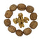 Smarty Stop Raw Walnuts in Shell (5 Pound (Pack of 1))