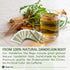 135 100% Tagalica, Premium Dandelion Root Tea Bags, Natural & Pure from Dandelion Root, Eco-Conscious Tea Bags, Herbal