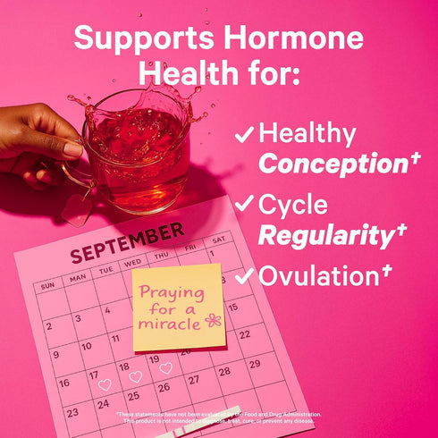 Pink Stork Fertility Tea for Conception and Hormone Balance, Organic Mint, 15 Sachets