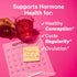 Pink Stork Fertility Tea for Conception and Hormone Balance, Organic Mint, 15 Sachets