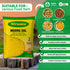 32oz Yellow Split Moong Beans (Moong Dal) Protein-Rich Lentils for Indian Cooking, Soup, and Everyday Meals