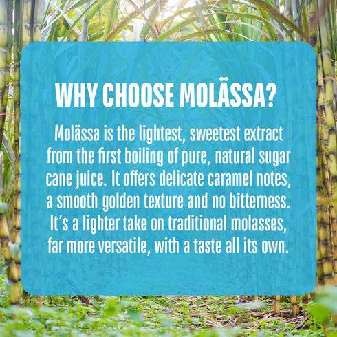 100% 18.1oz Molaessa Light Sweet Molasses - Specialty Sweetener Made From Pure Sugar Cane - Delicate Caramel Notes