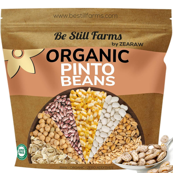 Be Still Farms Organic Pinto Beans Dry Bulk (2.8lb) - Dried Kidney