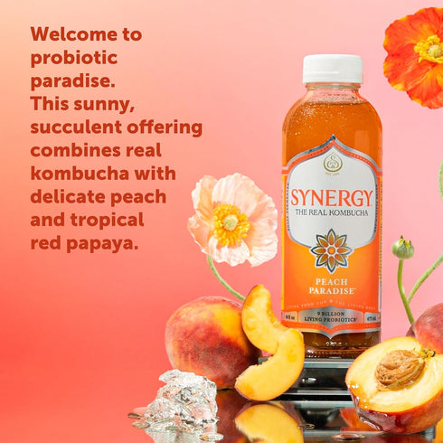 16 oz Immune SYNERGY The Real Kombucha - Peach Paradise - fl Bottle - Raw Probiotic Drink for Gut Health and Support