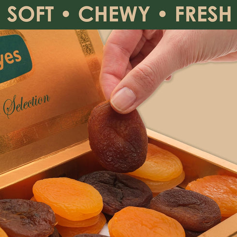 OZ ERCIYES 17.6 oz (500g) Premium Turkish Dried Apricots Dark and Yellow Sun Dried Apricots, Naturally Sweet, No Sugar