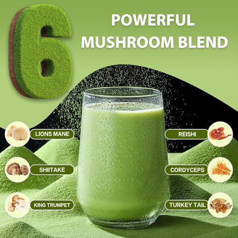6 Immune 30 1 Pack Bunkell Mushroom Matcha, Adaptogenic Mushrooms Mix w/Japanese Matcha, Ceremonial Powder Blend