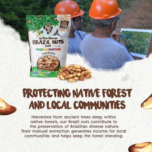 15 oz Snack The True Organic Brazil Nuts Raw and Unsalted Kosher Healthy-Rich in Vegetable Protein Harvested in Amazon