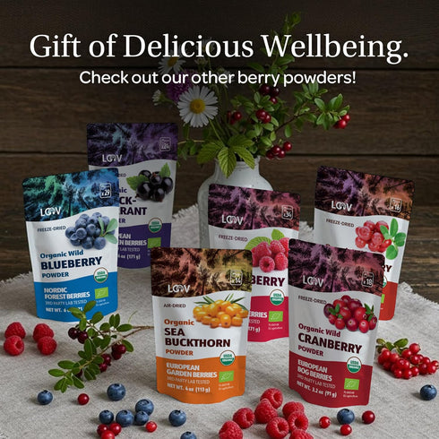 4 100% LOOV Wild Organic Dried Blueberries, No Added Sugar, No Added Oil, Ounces, Freeze Dried Blueberries Organic From