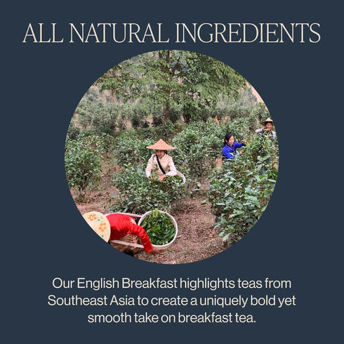 15 Count (Pack 1) Rishi Tea English Breakfast Tea - Organic Sachet Tea Bags, Energizing & Caffeinated Pure Black Tea
