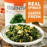 #10 15 Emergency Essentials Freeze-Dried Chopped Spinach | Real Spinach for Everyday Cooking & Long-Term Food Storage |