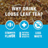 8 Set Pack 8 5oz Tiesta Tea - Top Favorites Sampler and Brewmaster Infuser Bundle, Loose Leaf Variety with Green