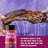 Pack Set (4-Pack) Fire & Smoke Society Flavor Core Variety | BBQ Rubs and BBQ Seasonings for Smoking and Grilling |