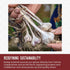 24oz Burlap & Barrel Purple Stripe Garlic - Alternative to Fresh Granulated Garlic - Savory Sweet Flavor for Tomato