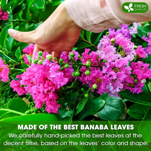 40 100% FreshDrinkUS, Premium Banaba Tea Bags, Natural & Pure from Banaba Leaves. Loose Leaf Banaba Herbal Tea. No