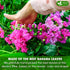 40 100% FreshDrinkUS, Premium Banaba Tea Bags, Natural & Pure from Banaba Leaves. Loose Leaf Banaba Herbal Tea. No