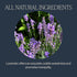 15 Count (Pack 1) Rishi Tea Lavender Mint Herbal Tea - Organic, Caffeine Free Sachet Bags, Calming Lavender