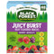 Black Forest Juicy Burst Fruit Snacks, Berry Medley, 0.8 Ounce Pouches (40