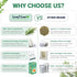 40 100% LeafLea Premium Rosemary Tea Bags from Natural Rosemary Leaves, Herbal Tea for Gentle Digestive Comfort, Te De