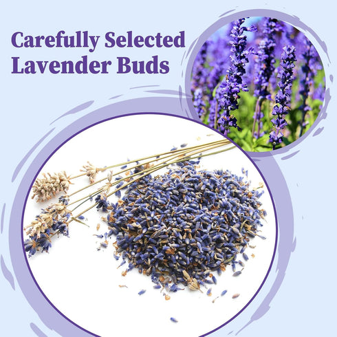 50 FullChea - Lavender Tea Bags, Teabags - Pure Lavender Flowers for Relaxation - Caffeine-Free Floral Tea for Sleep