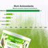 Organic Matcha Green Tea Powder - 4oz (113g) Tin, 100% Natural & Pure, Ceremonial Grade, No Additives
