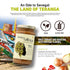 (12 oz Simmer of Africa Yassa Traditional Onion Sauce Jar) African Sauce with Caramelized Onions, Dijon Mustard