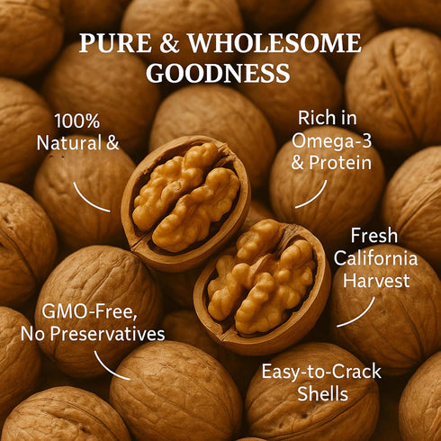 48 Oz 3 Lbs Premium Natural Walnuts in Shell Walnuts in Shell, Jumbo, Fresh, Buttery Taste, Easy to Crack, California