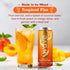 2x 12-Pack WAVE Sparkling Refreshers | Sparkling Juice | Organic Hydration | Low Calorie Drink | | White Tea Peach
