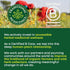 96 (6 Pack) Traditional Medicinals Tea, Organic Spearmint, Supports Everyday Wellness, Healthy & Refreshing, Tea Bags