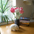 Handmade Crochet Flower Bouquet, Fake Flowers for Woman, Mom, Valentine, Birthday, Weddings, Graduation (Include Card)